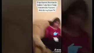 Yana bita  uzbek foxishasi  zapal. +18