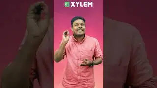 Class 12 CBSE - Most scoring chapters in computer science | Xylem CBSE 11 & 12