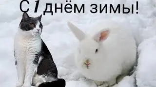 Новогоднее настроение. Зима
