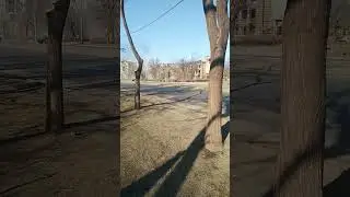 Разбирают лицей