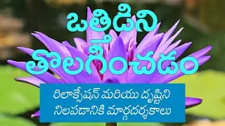 ఒత్తిడిని తొలగించడం | రిలాక్సేషన్ మరియు దృష్టిని నిలపడానికి మార్గదర్శకాలు  | Stress Detox