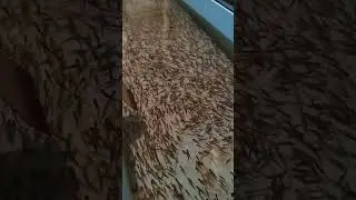 переходят на питание