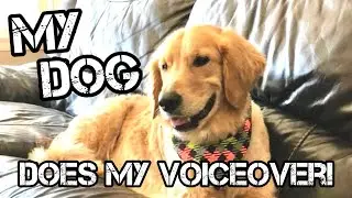 Recreating My Dog in The Sims 4! 🐶 (My Dog Does My Voiceover!)