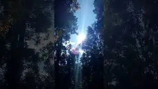 Берёзоньки