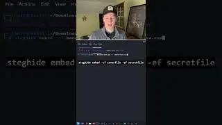 How to Hide Secret Data in Images (Steganography)