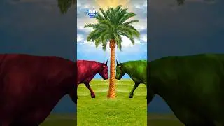 dil ko apni saaf chhoti moti galti maaf karo sabko eid mubarak 