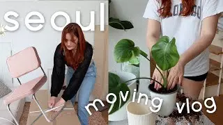 Furnishing my Seoul Apartment! Another moving vlog