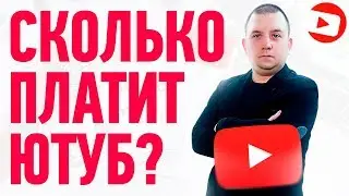 Сколько платит ютуб за 1000 просмотров 2021 ? Сколько зарабатывают на youtube?