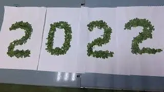 Всех с Новым 2022 Годом!