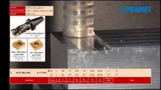 PR SNGX VE LNGT KİRPİ TAKIM