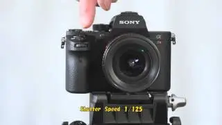 Sony  A7R2　Shutter Sound  AF  NIkkor  20mm