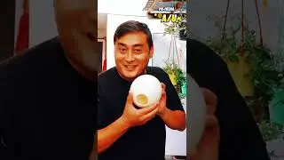 Қушнинг тухумини туяқушга бостирса нима бўлади ?