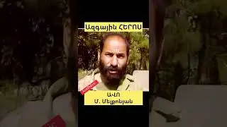 Արցախը Հայաստան է և վերջ‼️ #նիկոլդավաճան #nikol #նիկոլիհեռացմանշարժում