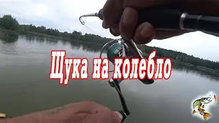 Колебло рулит  Блесна Kibs TAIFUN