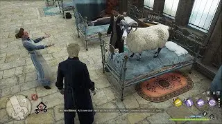 This student thought his friend transformed himself into a Sheep - Hogwarts Legacy