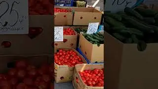 Харьков Рынок 