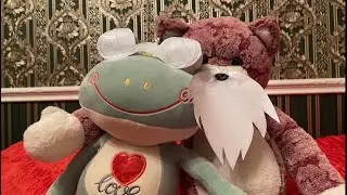 Финальный Суперкат из домашек. Гелисханова