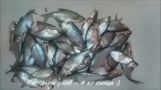 Ловля на Гирлянду. Гирлянда из чертиков. 17.01.2016 - 3 шлюз.