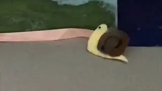 Snail Love Story