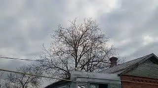 Белый бакинец ушёл в забой! 🕊🕊🕊