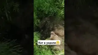 Мамулечка и её животные🥰
