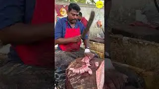 KASIMEDU SPEED SELVAM MAHI MAHI FISH #kasimeduselvam #shorts #bigfishcutting #youtube #bigfish