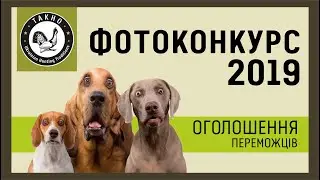 Оголошення переможців фотоконкурсу ТАХО 2019