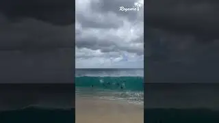 Riding the Waves: Fun in the Sun with Friends