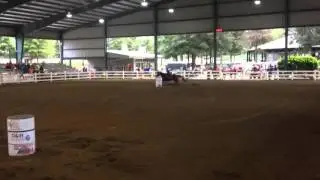 Justanuther Guy AQHA Stallion