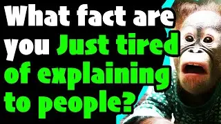 What fact are you Just tired of explaining to people? (r/askreddit) #reddit