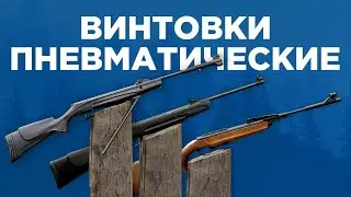 ПНЕВМАТИЧЕСКИЕ ВИНТОВКИ