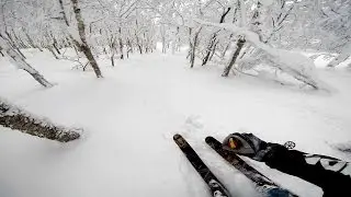 GoPro: Screaming Skier At Mt. Niseko In Japan