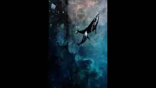 Violette - Flying Whales