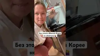 Мой лучший помощник в Южной Корее | 