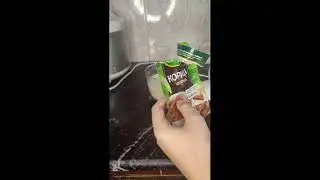 молочный коктейль в домашних условия