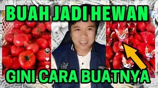 CARA BUAT VIDEO BUAH BERUBAH JADI BINATANG LAGI VIRAL DI TIKTOK‼️CUMA PAKAI HP, JADI IDE KONTEN😍💯👌