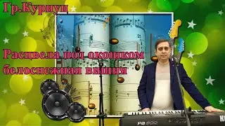 Группа Курнуц - Расцвела под окошком белоснежная вишня 