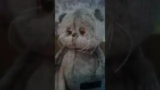 приезд басика (гулянка)