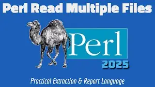Perl Tutorial: Read Multiple Files & Print Contents Mini Project 2025