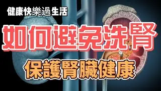 如何避免洗腎？掌握關鍵秘訣，保護你的腎臟健康！