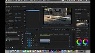 Adobe Premiere Kasma Sorunu Çözümü | Proxy Medya