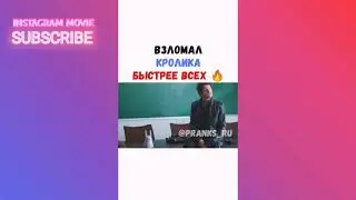 ВЗЛОМАЛ КРОЛИКА БЫСТРЕЕ ВСЕХ