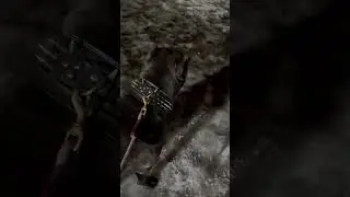 Очередь на понюхать 🥰