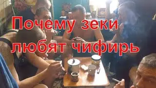 Почему зеки любят чифирь
