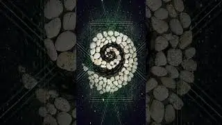 Contemplation of Symmetrical Constructs within Nature