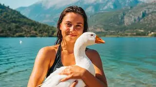 Floating Through Magic — Lake Kournas, Crete’s Most Beautiful Lake 🌿💙 | 4K Video. Walk & Paddle