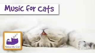 Music for Cats - Relaxing, Soothing Sounds to Help with Stressed Cats - IT WORKS!