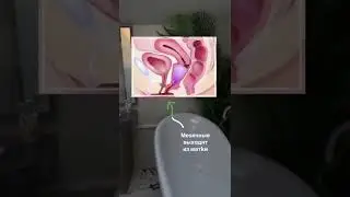 Откуда мы писаем