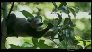 Miracle Planet Episode 5 Part 1