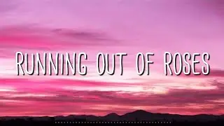 Alan Walker x Jamie Miller - Running Out Of Roses (Lyrics)